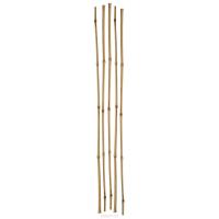 Опора - бамбук для вьющихся, h-1.05 м, (ф 8-10 мм)
