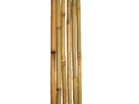 Опора - бамбук для вьющихся, h-3,5 м, (ф28-30 мм)