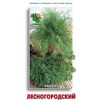 Укроп Лесногородский. Поиск