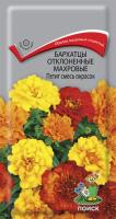 Бархатцы (Тагетес) отклонен. махровые Петит смесь окрасок. Поиск