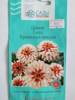 Циния Сизл Кремовая вишня  3 шт.
