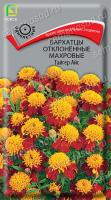 Бархатцы (Тагетес) отклонен. махровые Тайгер Айс. Поиск