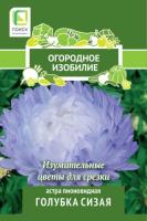 Астра пионовидная Голубка сизая (Огородное изобилие), 0,3гр. Поиск