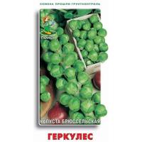 Капуста брюссельская Геркулес. Поиск