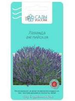 Лаванда Английская  10 шт.