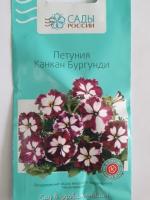 Петуния крупноцветковая Канкан Бургунди  10 шт.