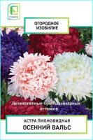 Астра пионовидная Осенний вальс однолетн. (Огородное изобилие), 0,3гр. Поиск
