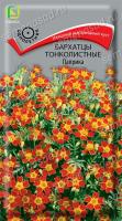 Бархатцы (Тагетес) тонколистные Паприка. Поиск