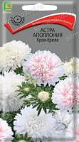 Астра Аполлония Крем-брюле (однолетн.), 0,3гр. Поиск