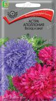 Астра Аполлония Восход и закат (однолетн.), 0,3гр. Поиск