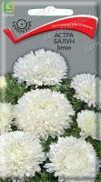 Астра Балун Белая (однолетн.), 0,1гр. Поиск