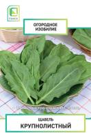 Щавель Крупнолистный (Огородное изобилие). Поиск