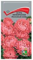 Астра низкорослая Лососевый Ковёр. Поиск