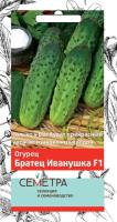 Огурец Братец Иванушка F1 (Семетра),  0,5гр. Поиск