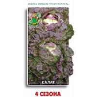 Салат Четыре сезона. Поиск