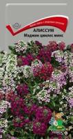 Алиссум Мэджик циклес микс. Поиск