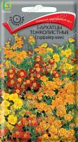 Бархатцы (Тагетес) тонколистные Старфайер микс. Поиск