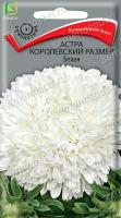 Астра королевский размер Белая (однолетн). Поиск