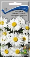 Нивяник наибольший Серебряная принцесса. Поиск
