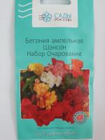 Бегония ампельная Шансон Очарование набор  10 шт.