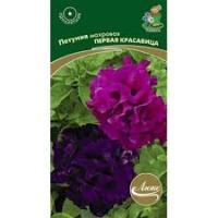 Петуния махровая Первая красавица. Поиск