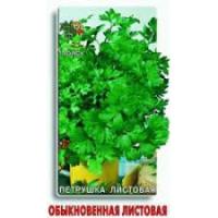 Петрушка листовая обыкновенная. Поиск