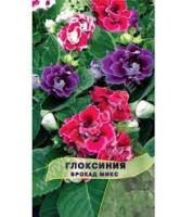 Глоксиния махровая Брокад F1 Микс. Поиск