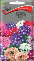 Вербена гибридная Идеал. Поиск