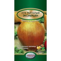 Лук репчатый Эксибишен 0,5гр. Поиск