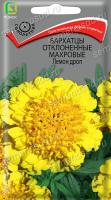 Бархатцы (Тагетес) отклонен. махровые Лемон Дроп. Поиск