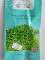 Мята стелящаяся Мини Минт  6 шт.