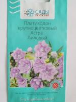 Платикодон крупноцветковый Астра Лиловый  5 шт.