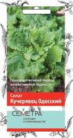 Салат Кучерявец Одесский (Семетра). Поиск