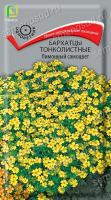 Бархатцы (Тагетес) тонколистные Лимонный самоцвет. Поиск