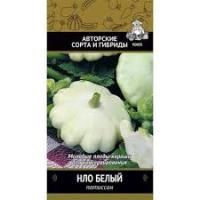 Патиссон НЛО Белый. Поиск