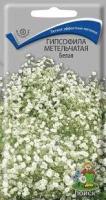 Гипсофила метельчатая Белая. Поиск