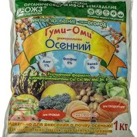 ГУМИ-ОМИ 