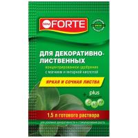 BONA FORTE-КРАСОТА 