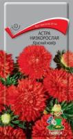 Астра низкорослая Красный Ковёр. Поиск