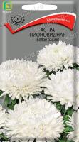 Астра пионовидная Белая башня (однолетняя). Поиск
