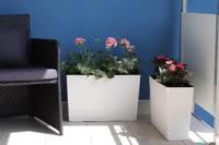 Террасный ящик VERBENA 190х560x360  с вкладышем (арт. 564). LAM