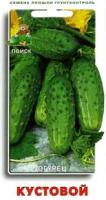Огурец Кустовой. Поиск