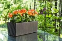 Террасный ящик BEGONIA 175х560x190 ротанг с вкладышем (арт. 625). LAM