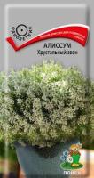 Алиссум Хрустальный звон. Поиск