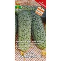 Огурец Купидон. Поиск