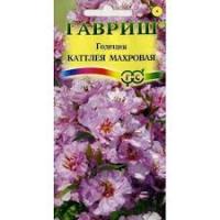 Годеция Каттлея махровая
