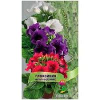 Глоксиния Мульти Белз микс. Поиск