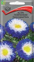 Астра помпонная Превосходный Ракли. Поиск