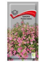 Бакопа Розовая лавина. Поиск