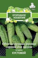 Огурец Кустовой (Огородное изобилие). Поиск